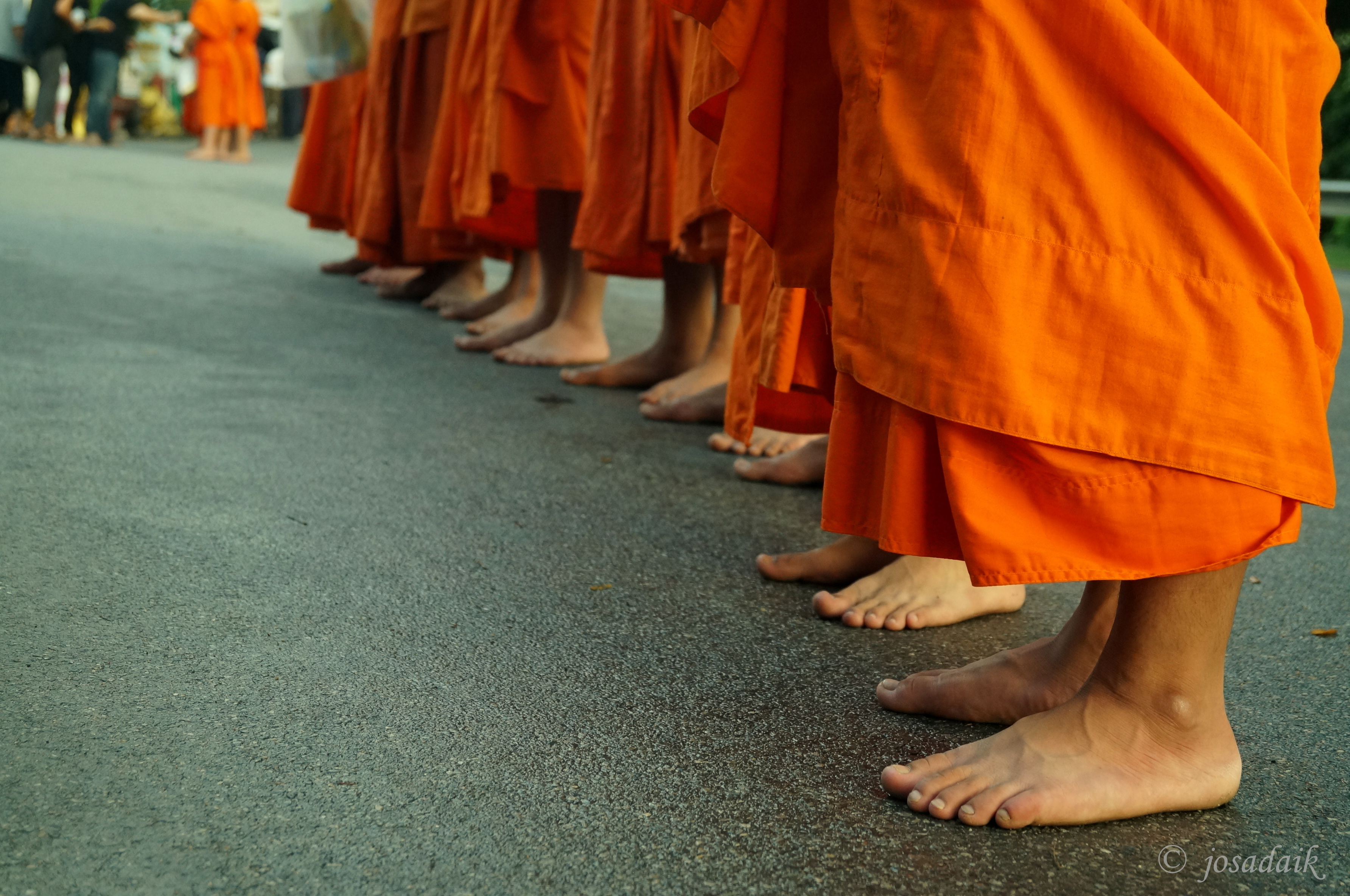 Offering to Monks at Chiang Mai – North Thailand